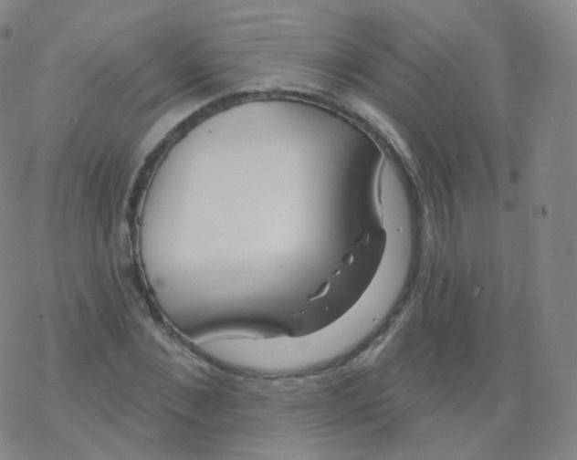 X0000076340876200610272052