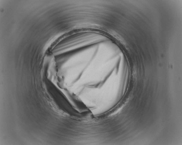 X0000076340877200610272052
