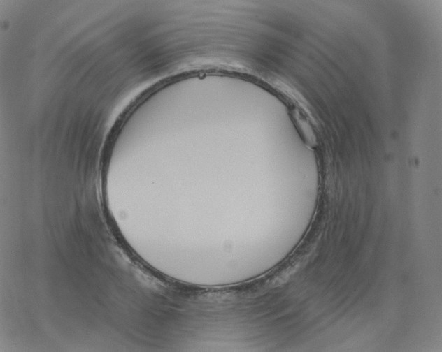 X0000076340888200610272052