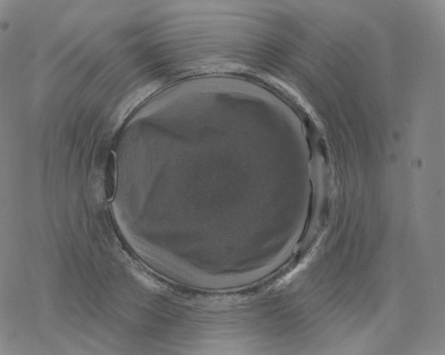 X0000076340889200610272052