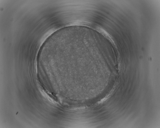 X0000076340892200610272052