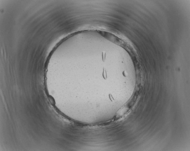 X0000076340896200610272052