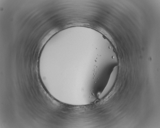 X0000076340906200610272052