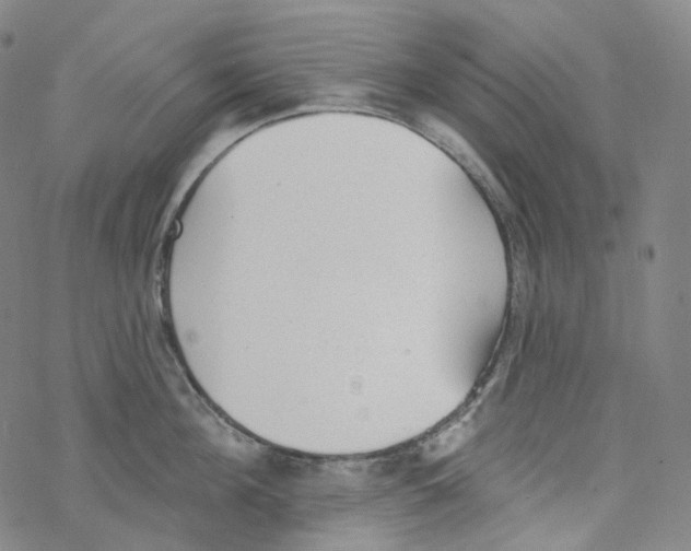 X0000076340908200610272052