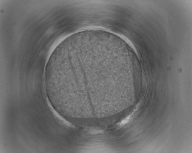 X0000076340911200610272052