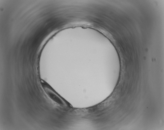 X0000076340912200610272052