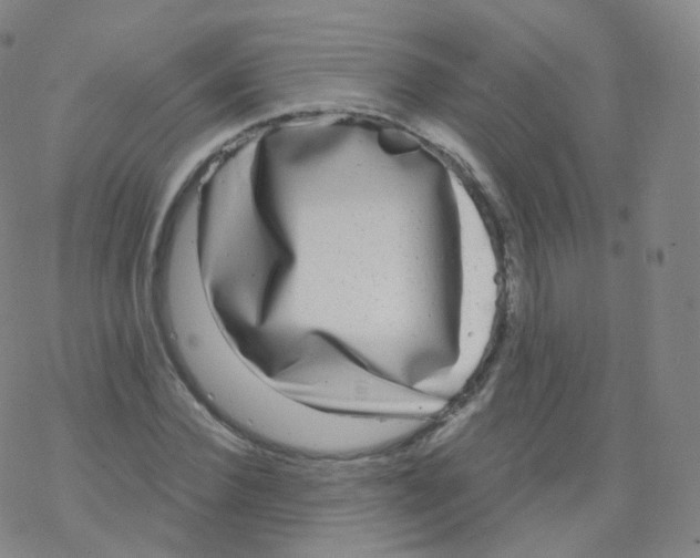 X0000076340924200610272051