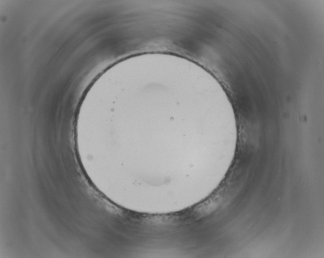 X0000076340950200610272052