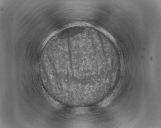 X0000076340953200610272052