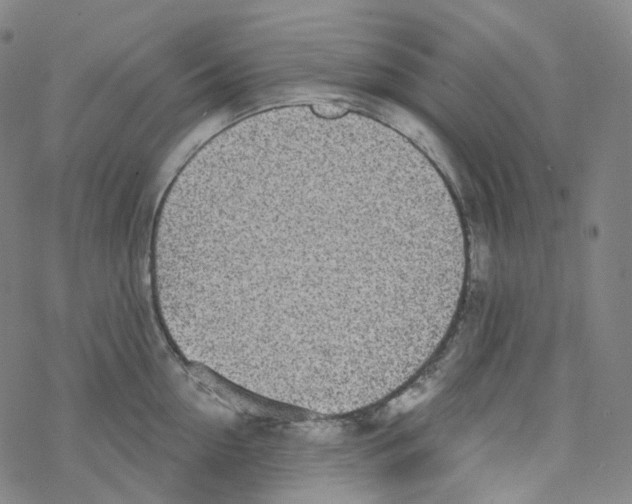 X0000076340954200610272052