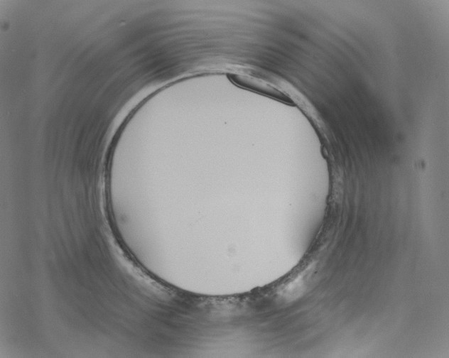 X0000076340955200610272052