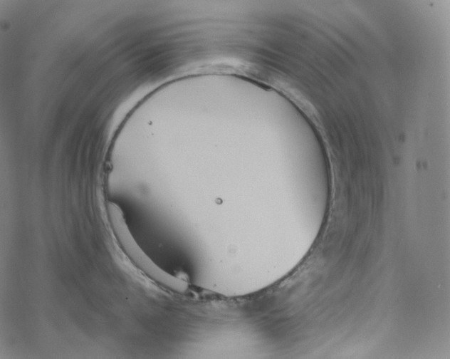 X0000076340960200610272052