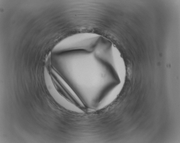 X0000076340963200610272051