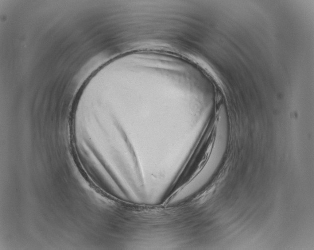 X0000076340999200610272050