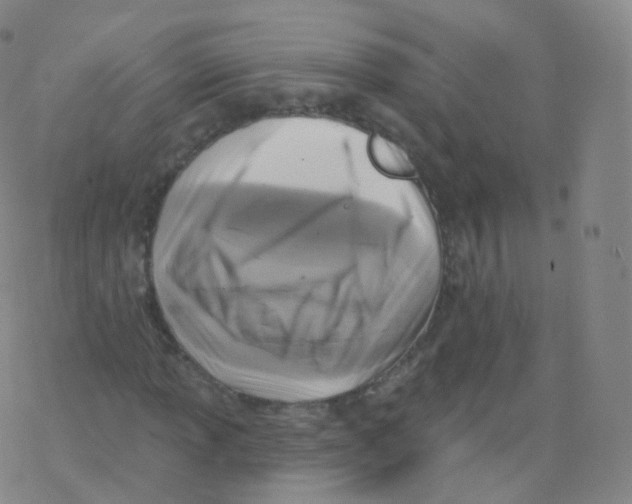 X0000076341013200610272049