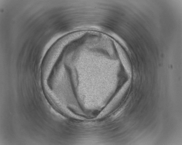 X0000076341102200610272049
