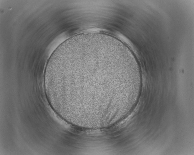 X0000076341194200610272047