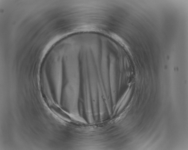 X0000076341334200610272045