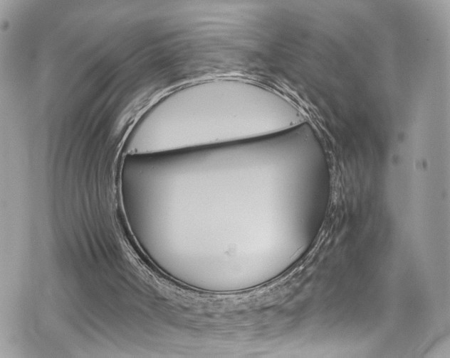 X0000076350002200609290942