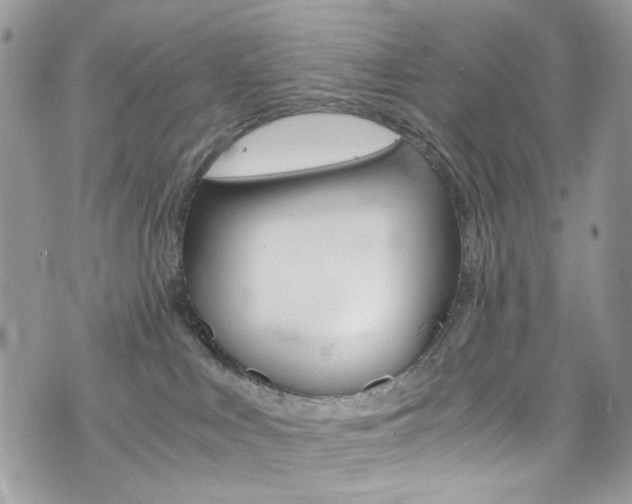 X0000076350043200609290941