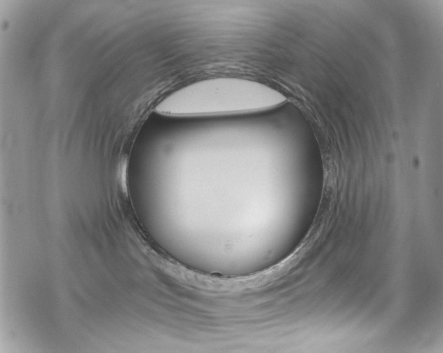 X0000076350047200609290941