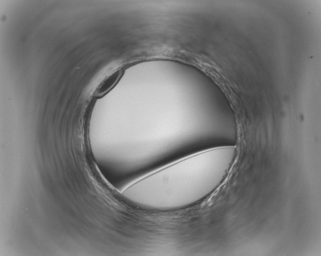 X0000076350054200609290940