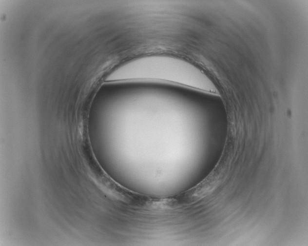 X0000076350072200609290940