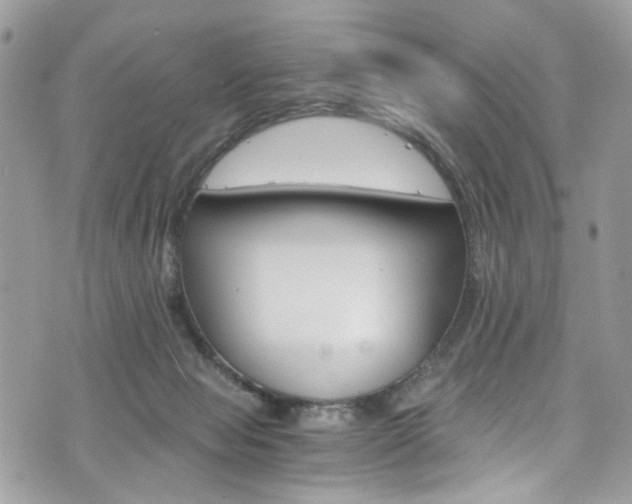 X0000076350077200609290941
