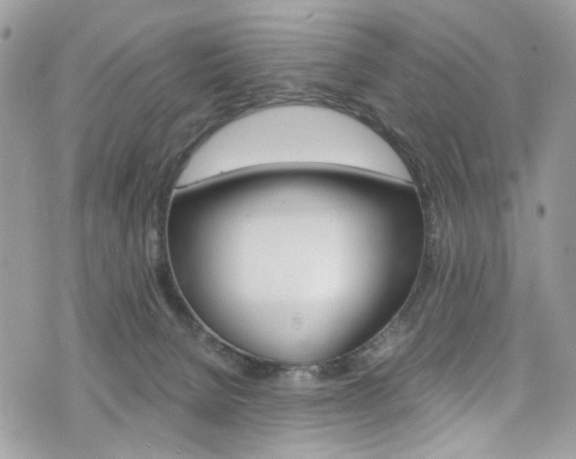 X0000076350080200609290941