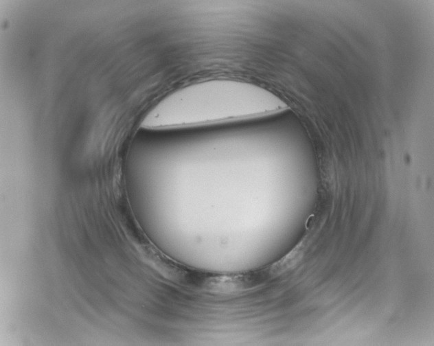 X0000076350082200609290941