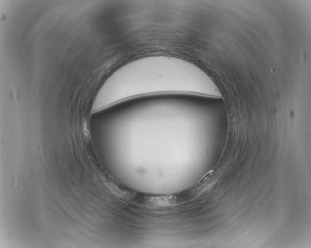 X0000076350089200609290941
