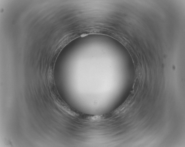 X0000076350092200609290941