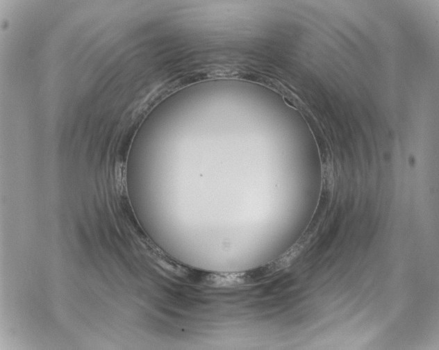 X0000076350093200609290941