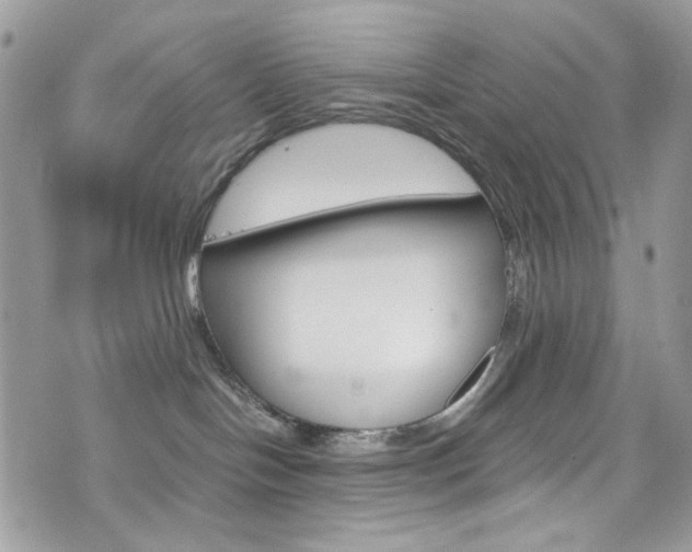X0000076350094200609290941