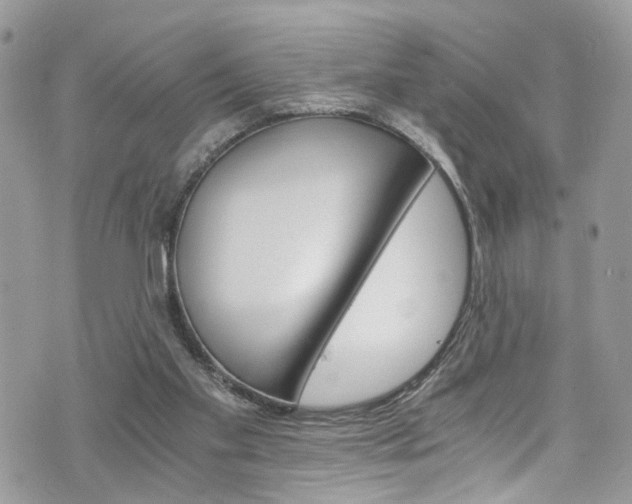X0000076350109200609290940