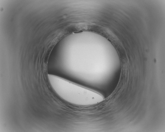 X0000076350125200609290940