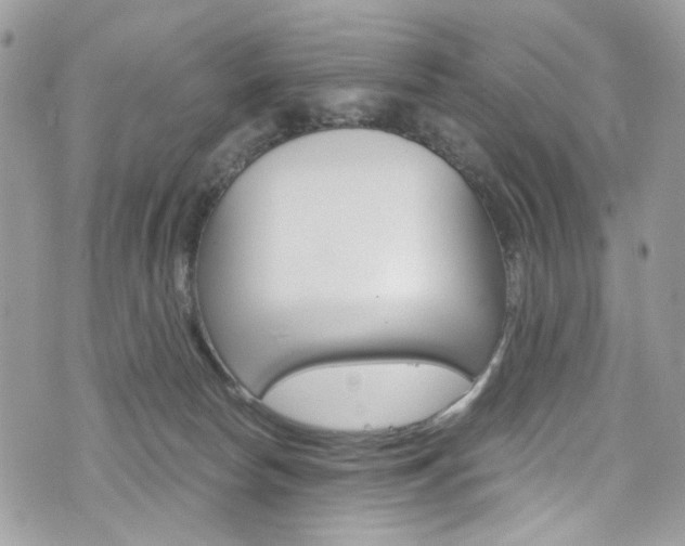 X0000076350178200609290939