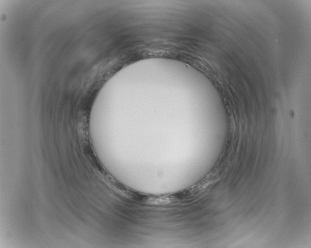 X0000076350181200609290939