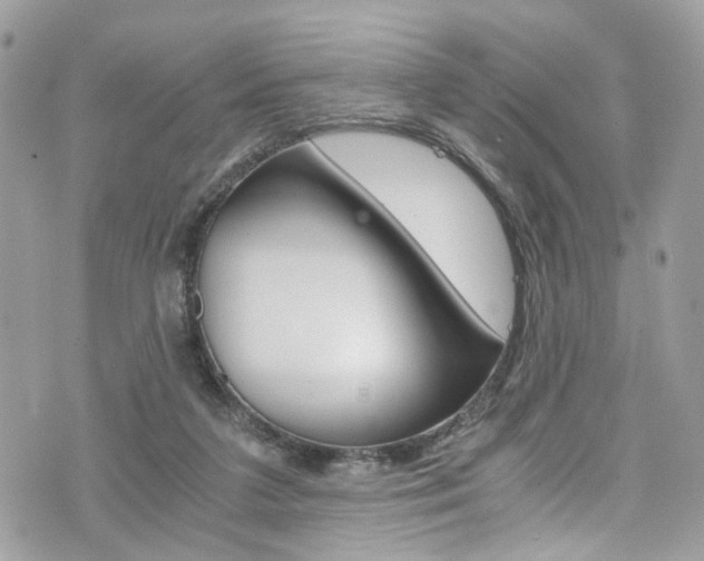 X0000076350211200609290938
