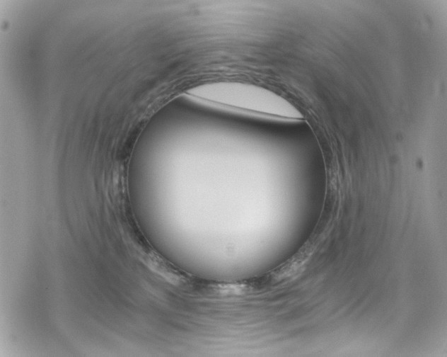 X0000076350233200609290938