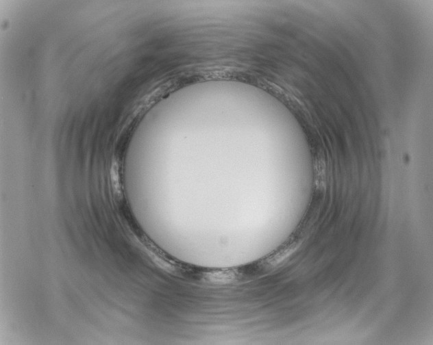 X0000076350238200609290938