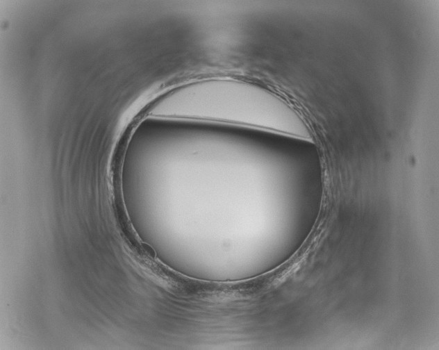 X0000076350246200609290937