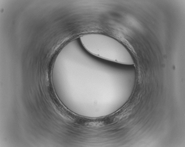 X0000076350251200609290937