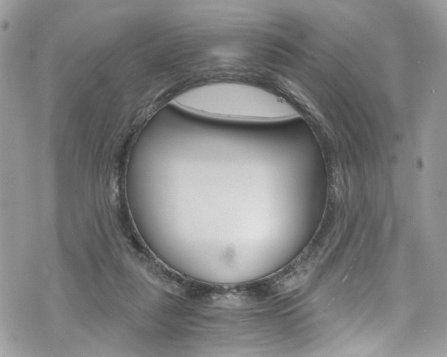 X0000076350259200609290937