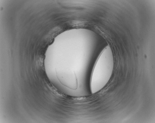 X0000076350281200609290938