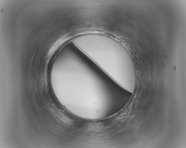 X0000076350296200609290937