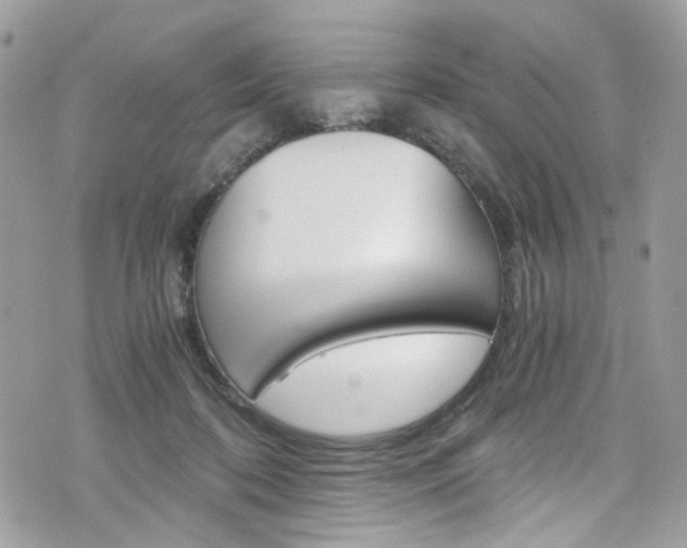 X0000076350316200609290936