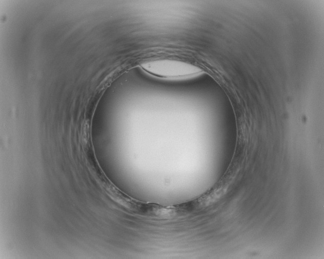 X0000076350325200609290936
