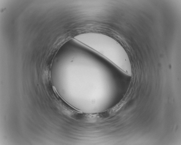 X0000076350333200609290936