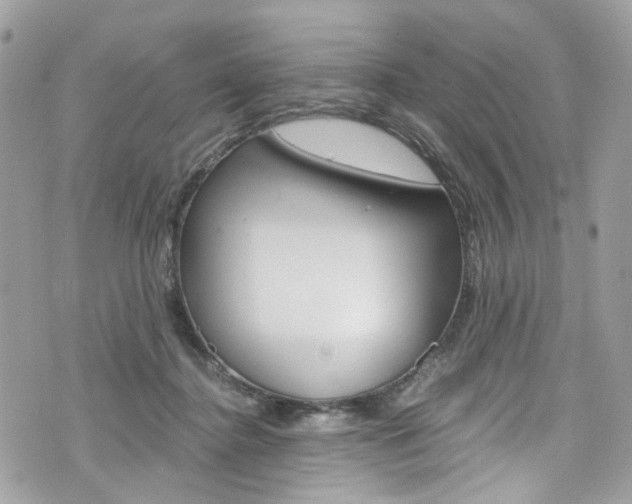 X0000076350364200609290936